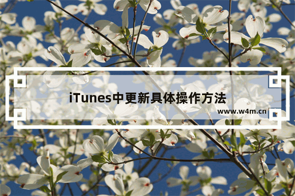 iTunes中更新具体操作方法