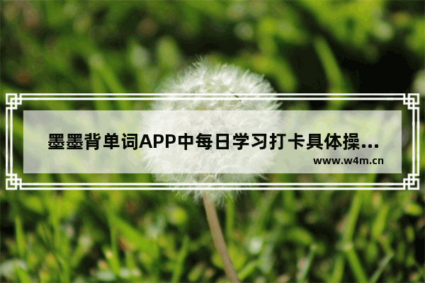 墨墨背单词APP中每日学习打卡具体操作方法