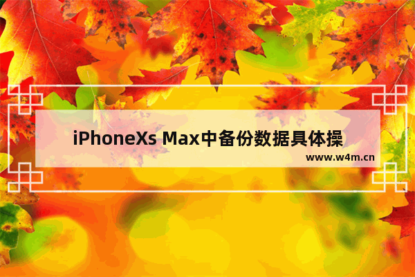 iPhoneXs Max中备份数据具体操作方法