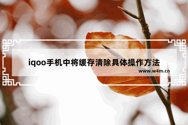 iqoo手机中将缓存清除具体操作方法