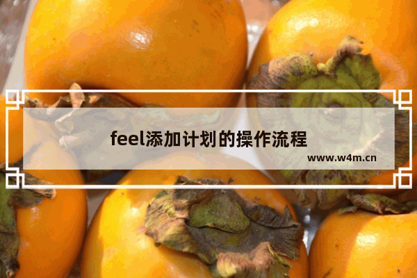 feel添加计划的操作流程