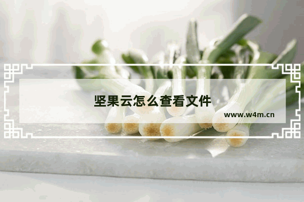 坚果云怎么查看文件