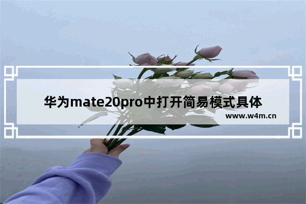 华为mate20pro中打开简易模式具体操作方法