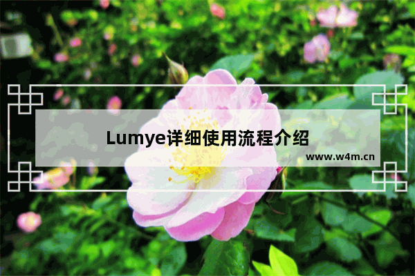 Lumye详细使用流程介绍