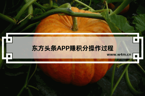 东方头条APP赚积分操作过程