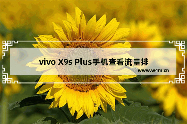 vivo X9s Plus手机查看流量排行图文教程