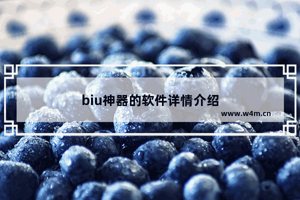 biu神器的软件详情介绍