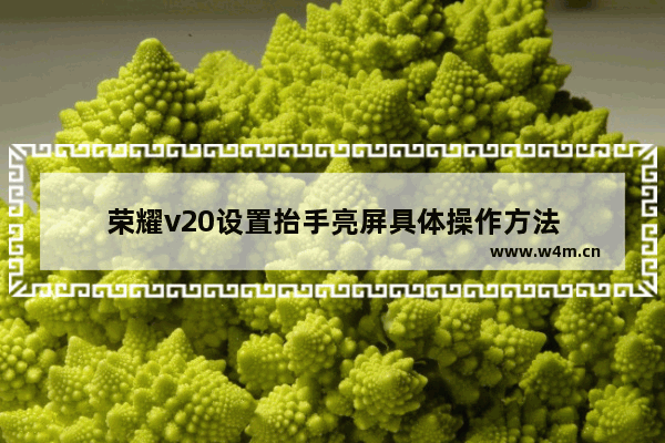 荣耀v20设置抬手亮屏具体操作方法