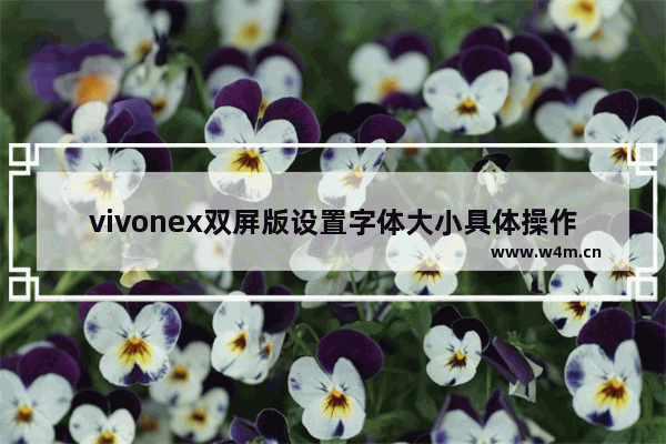 vivonex双屏版设置字体大小具体操作方法