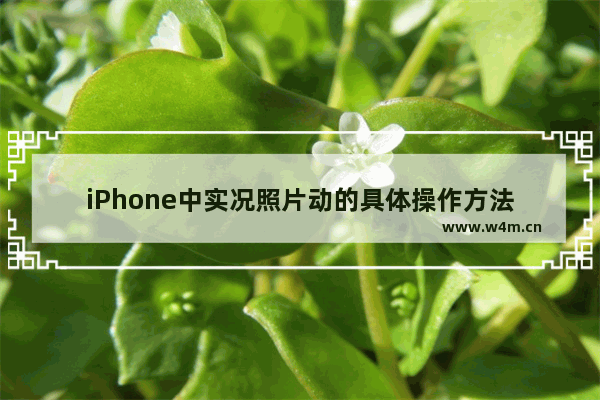 iPhone中实况照片动的具体操作方法