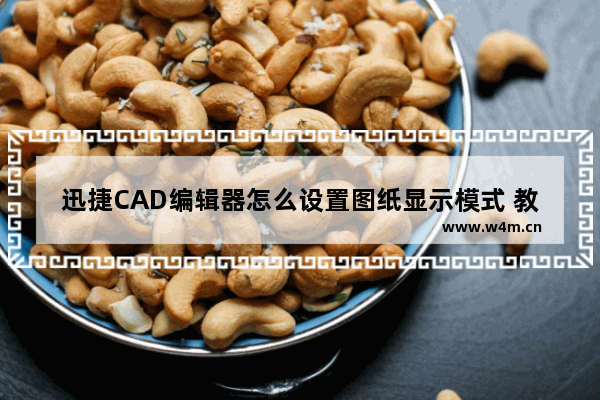 迅捷CAD编辑器怎么设置图纸显示模式 教你几招快速设置