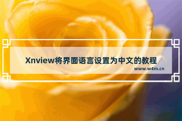 Xnview将界面语言设置为中文的教程