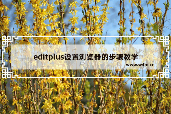 editplus设置浏览器的步骤教学