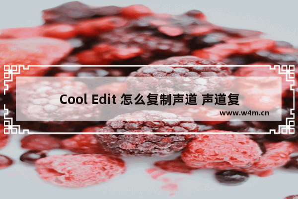 Cool Edit 怎么复制声道 声道复制方法说明