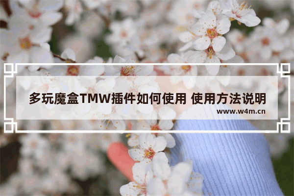 多玩魔盒TMW插件如何使用 使用方法说明