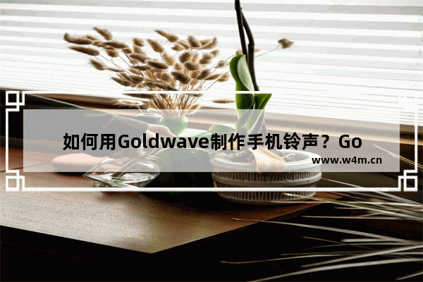 如何用Goldwave制作手机铃声？Goldwave制作手机铃声方法分享