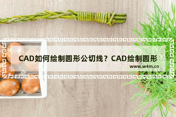 CAD如何绘制圆形公切线？CAD绘制圆形公切线步骤全览