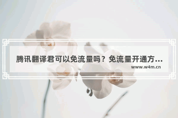 腾讯翻译君可以免流量吗？免流量开通方法一览