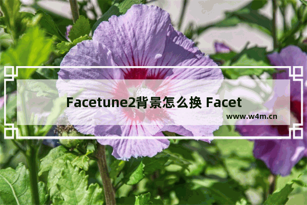 Facetune2背景怎么换 Facetune2背景更换方法大全