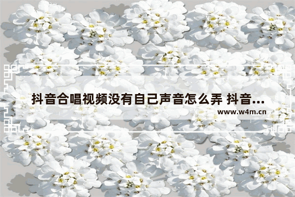 抖音合唱视频没有自己声音怎么弄 抖音合唱视频没有伴奏声音