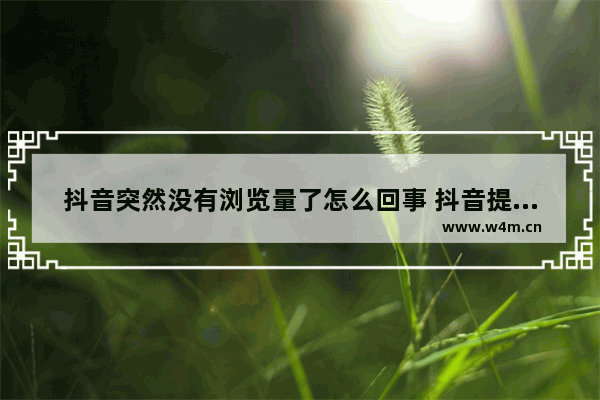 抖音突然没有浏览量了怎么回事 抖音提高播放量和点赞数的教程