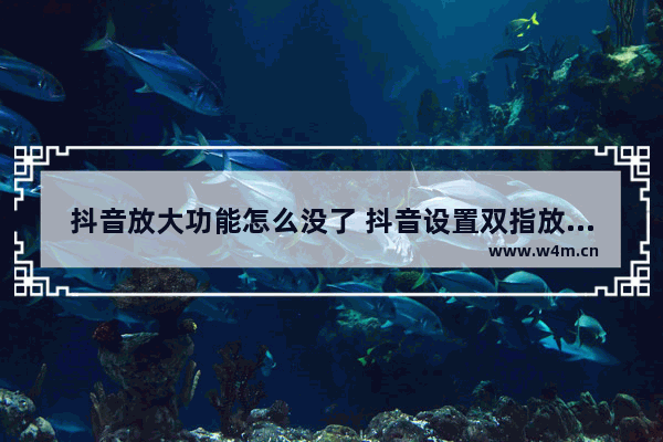 抖音放大功能怎么没了 抖音设置双指放大的办法