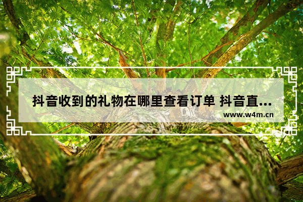 抖音收到的礼物在哪里查看订单 抖音直播礼物数据查询方法