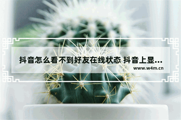 抖音怎么看不到好友在线状态 抖音上显示自己的位置的办法