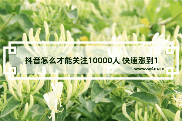 抖音怎么才能关注10000人 快速涨到1000粉丝的教学