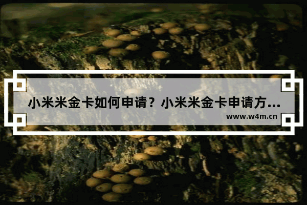 小米米金卡如何申请？小米米金卡申请方法教程