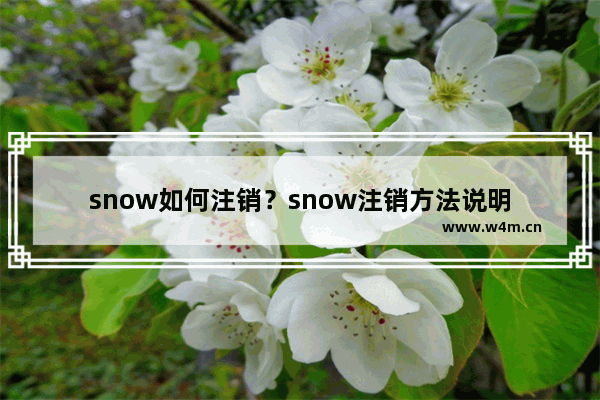 snow如何注销？snow注销方法说明