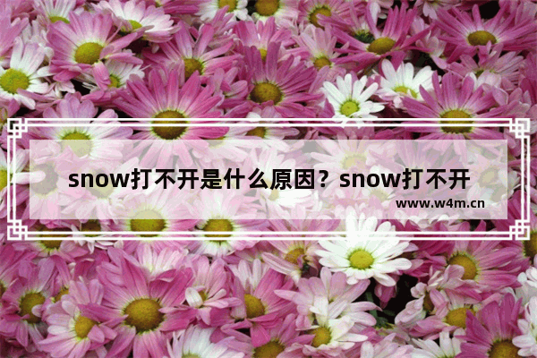 snow打不开是什么原因？snow打不开解决办法分享