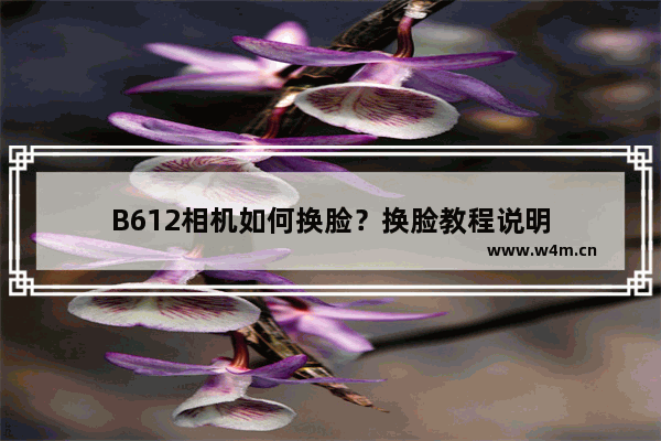 B612相机如何换脸？换脸教程说明