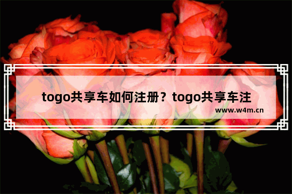 togo共享车如何注册？togo共享车注册方法分享