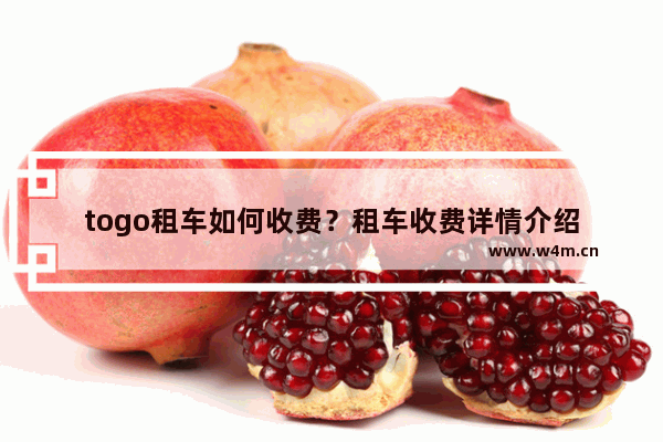 togo租车如何收费？租车收费详情介绍