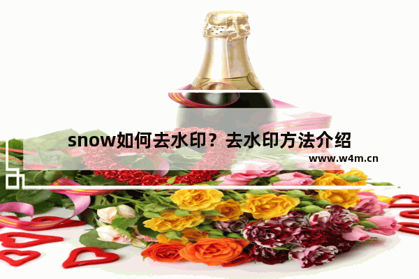 snow如何去水印？去水印方法介绍