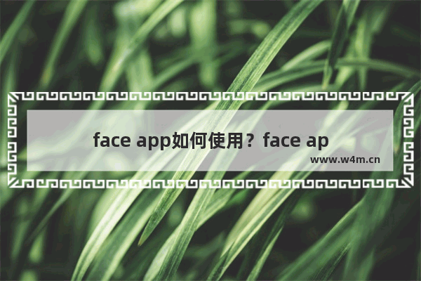 face app如何使用？face app使用方法分享