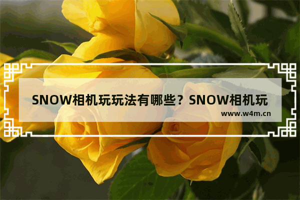 SNOW相机玩玩法有哪些？SNOW相机玩法分享