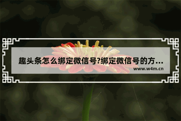 趣头条怎么绑定微信号?绑定微信号的方法介绍