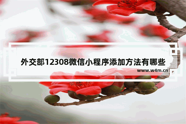 外交部12308微信小程序添加方法有哪些？微信小程序添加方法介绍