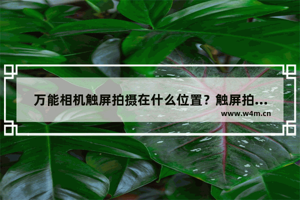 万能相机触屏拍摄在什么位置？触屏拍摄使用方法介绍