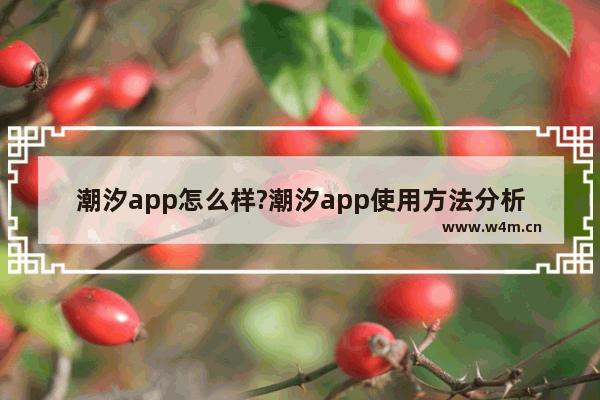 潮汐app怎么样?潮汐app使用方法分析