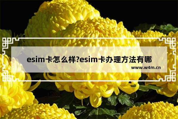 esim卡怎么样?esim卡办理方法有哪些？