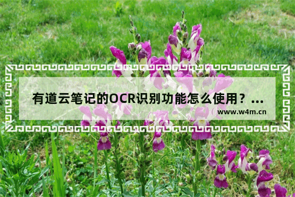 有道云笔记的OCR识别功能怎么使用？识别功能使用方法介绍