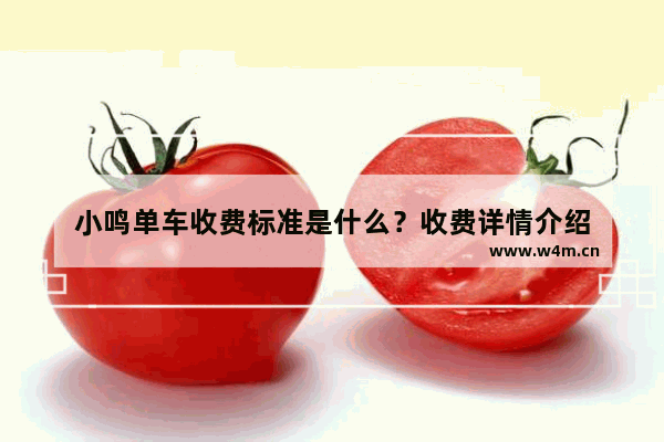 小鸣单车收费标准是什么？收费详情介绍