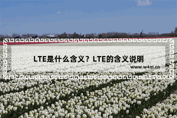 LTE是什么含义？LTE的含义说明