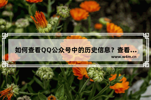 如何查看QQ公众号中的历史信息？查看历史信息方法介绍