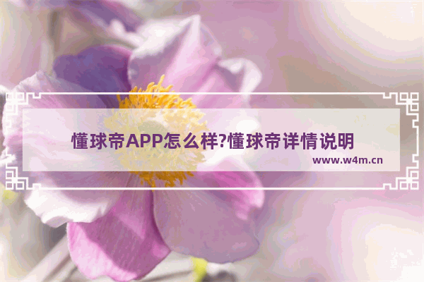 懂球帝APP怎么样?懂球帝详情说明