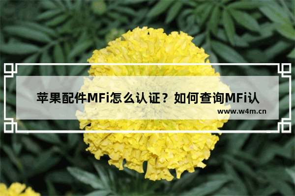 苹果配件MFi怎么认证？如何查询MFi认证?