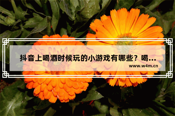 抖音上喝酒时候玩的小游戏有哪些？喝酒小游戏分享